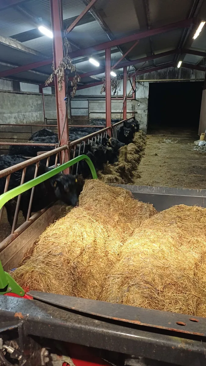 Nugent Bale Feeder - Image 1