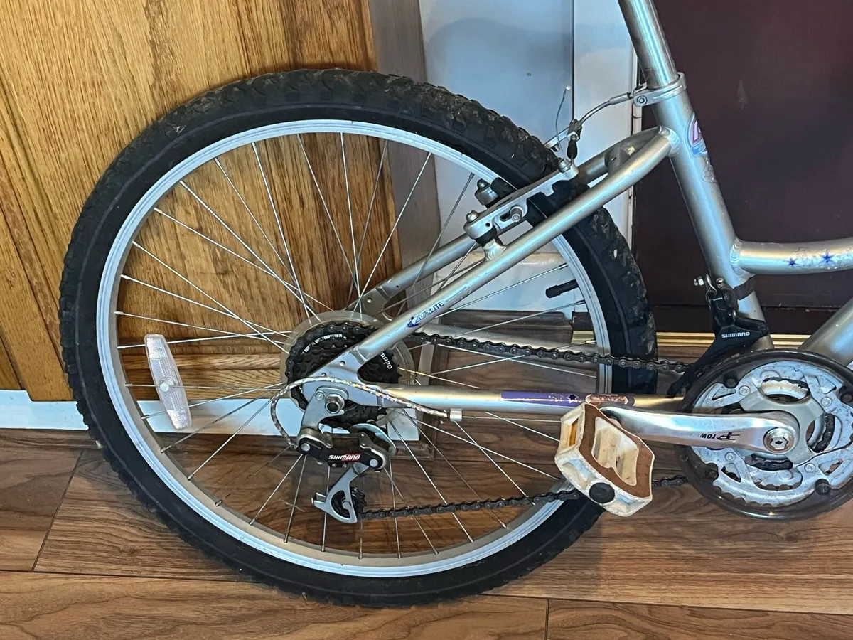 Raleigh Childs bike - Image 4