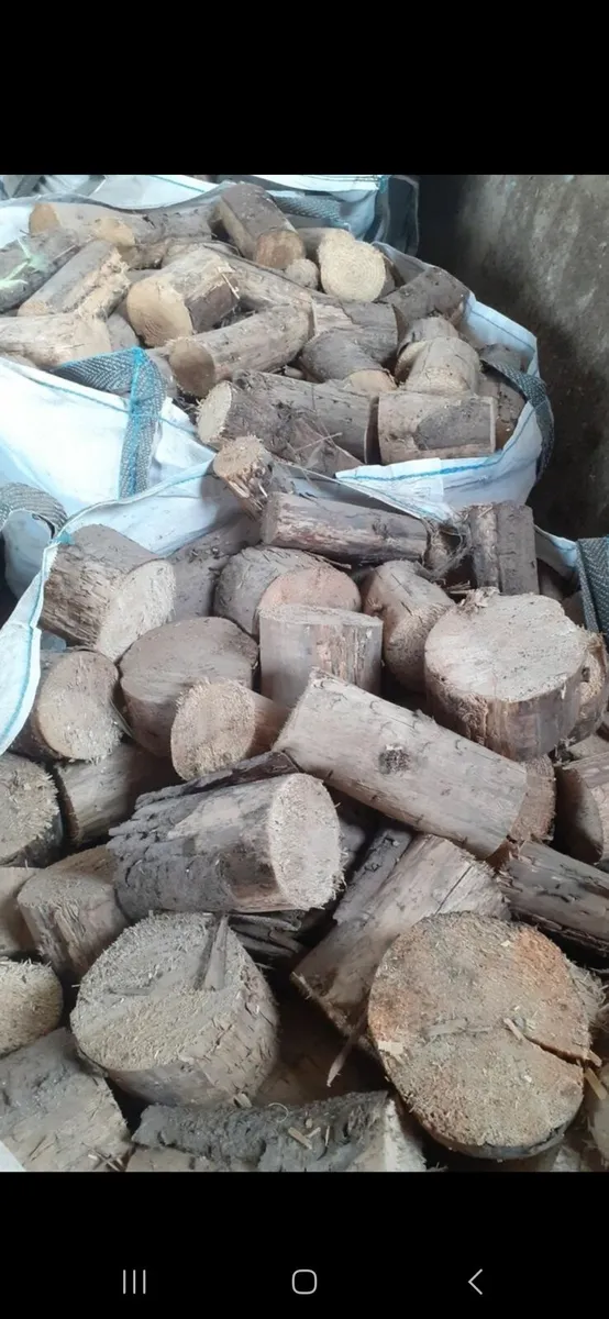 Firewood - Image 2