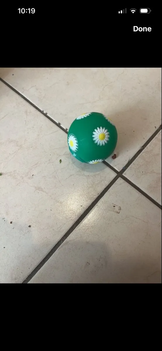 Snack ball for pets - Image 3