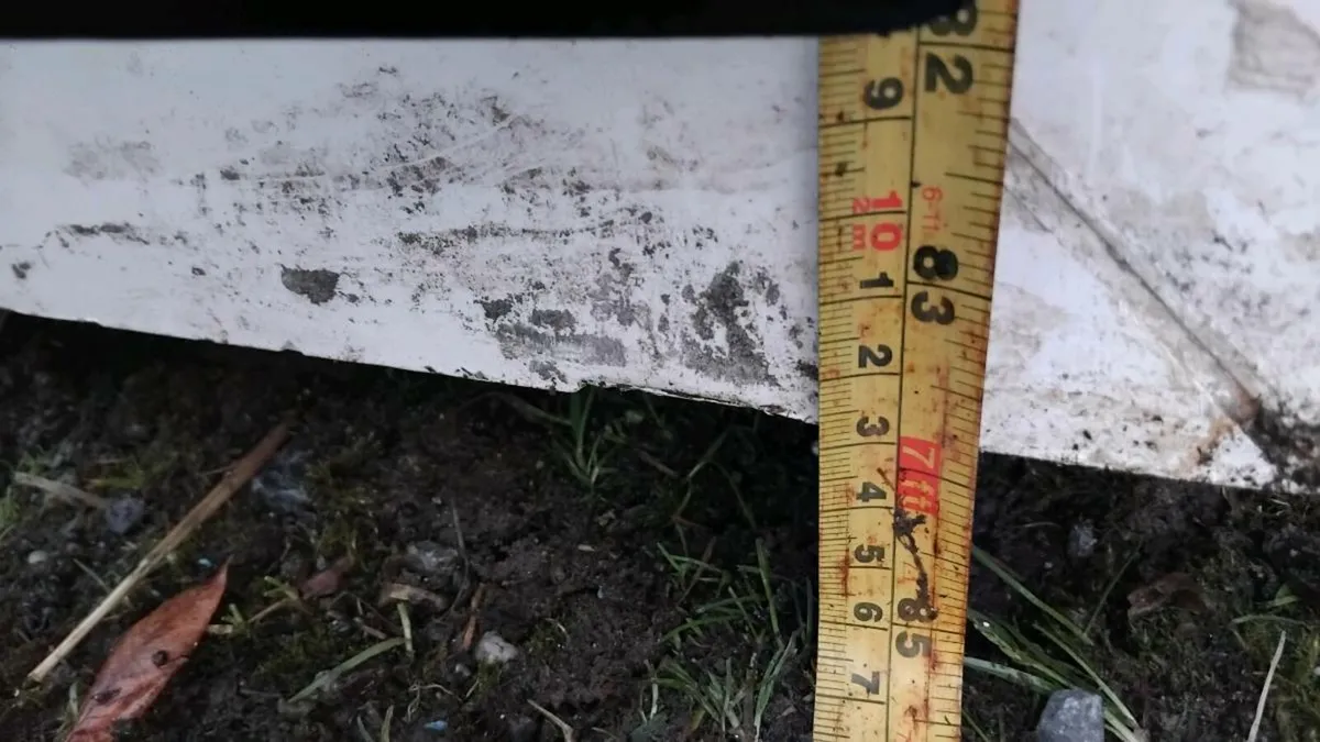 🌲Pvc door🌲 - Image 3