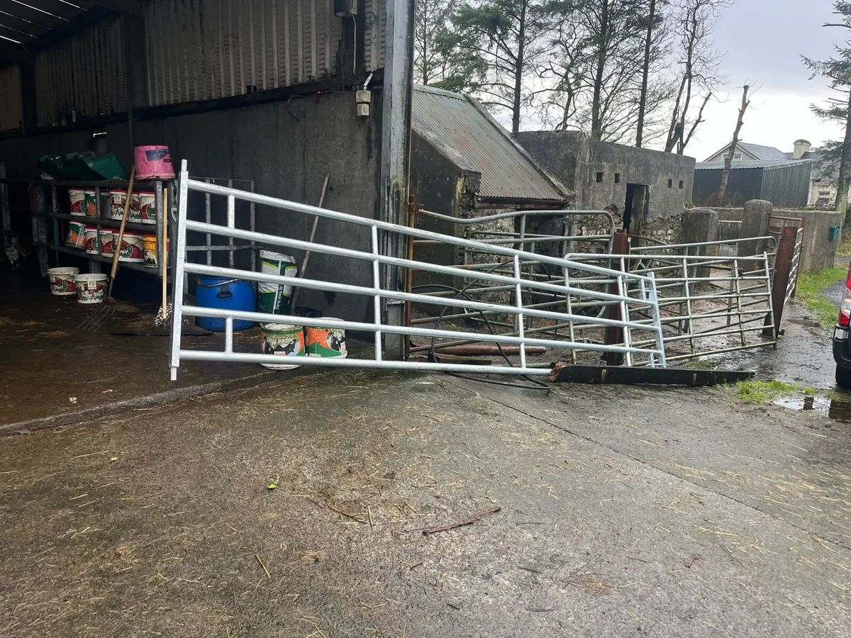 Extendable, gates and barriers - Image 2