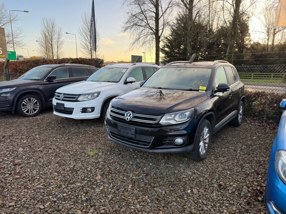 A Selection of VW TIGUANS just in from Japan - Image 2