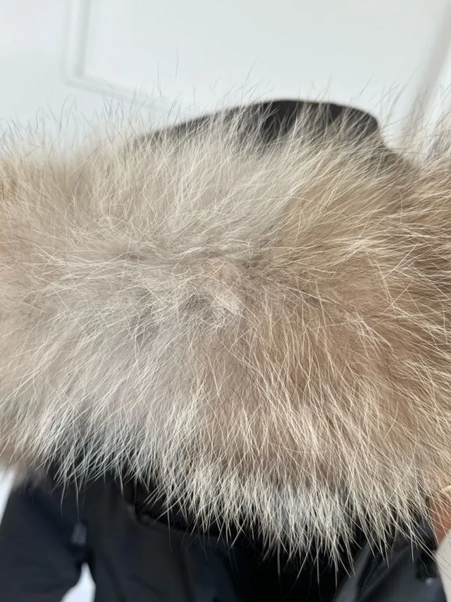 Canada Goose Black Parka - Image 3