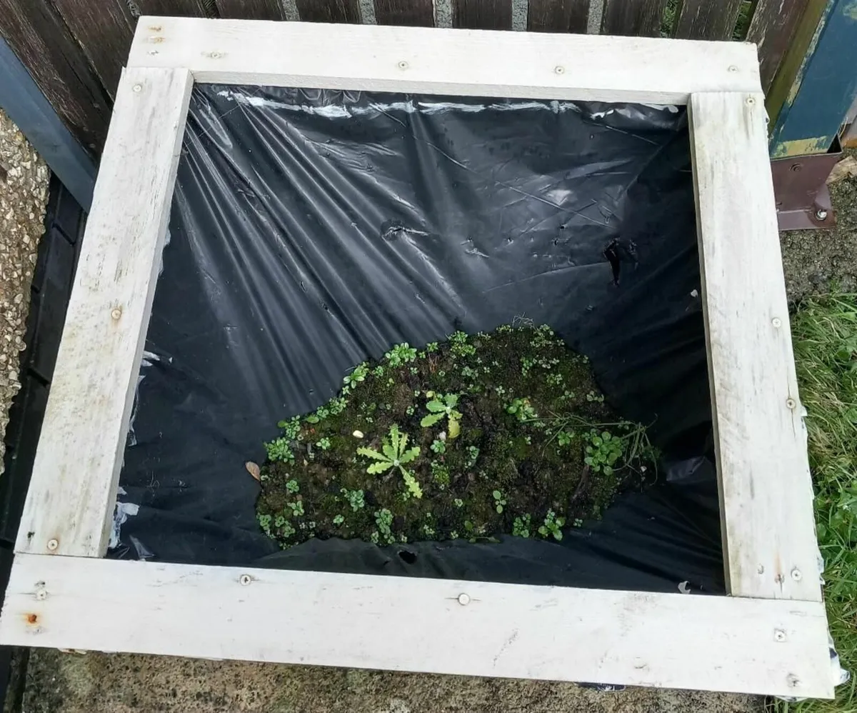 White box planter - Image 3