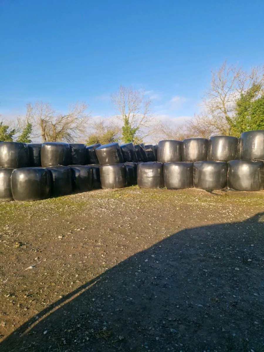 Silage - Image 1
