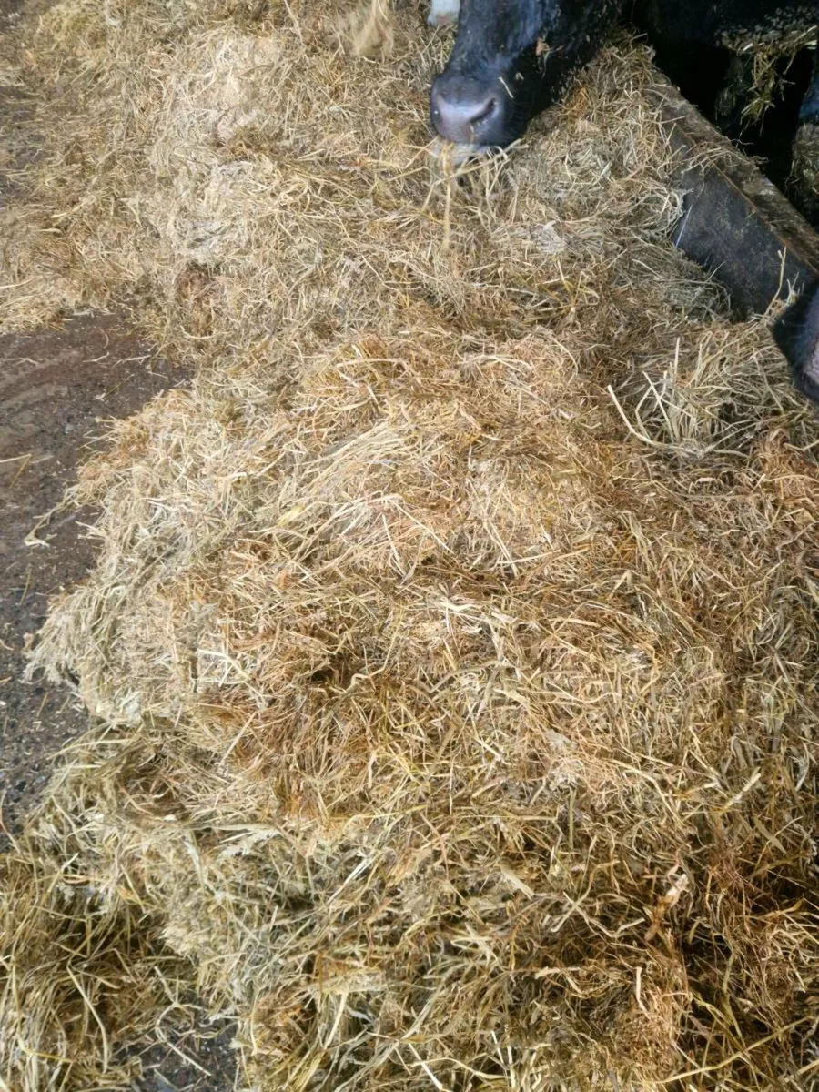 Silage - Image 2