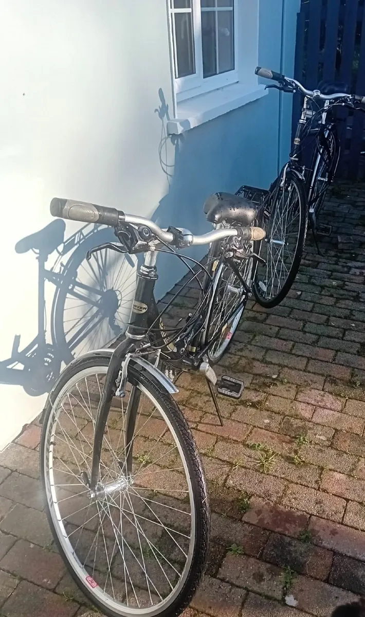 Carter Ladies & Mans bike - Image 3