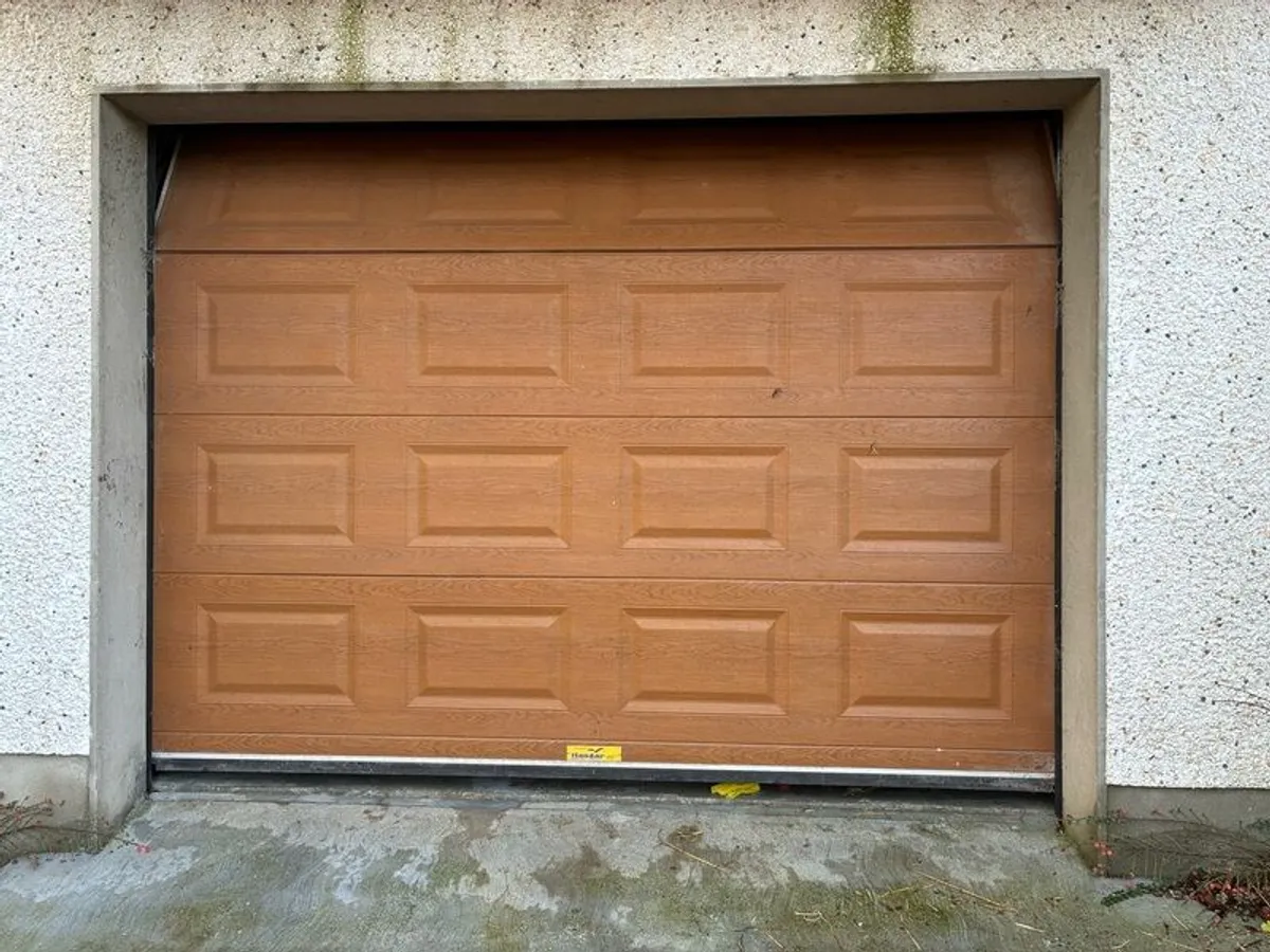 automatic garage door - Image 1