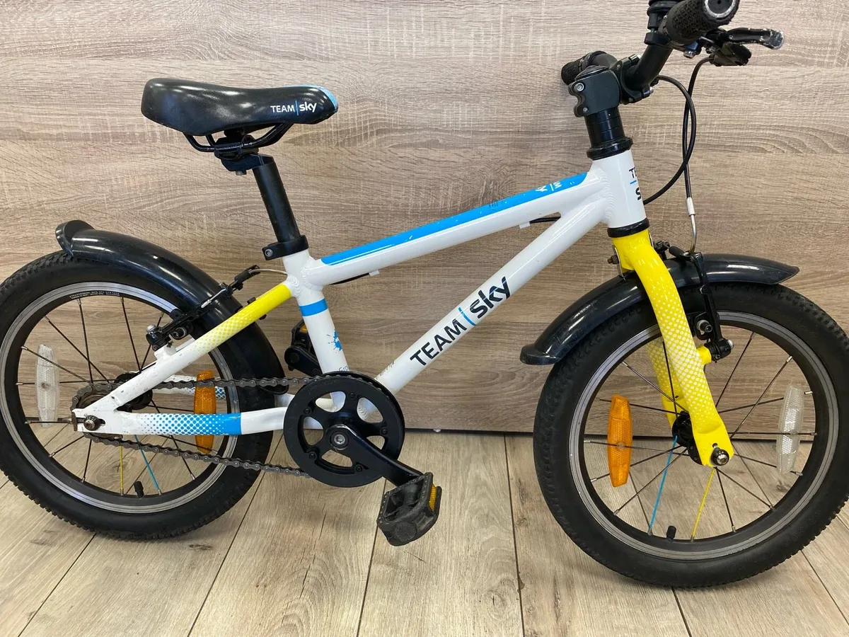 Frog team sky - Image 2