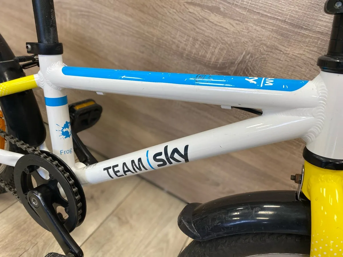 Frog team sky - Image 3