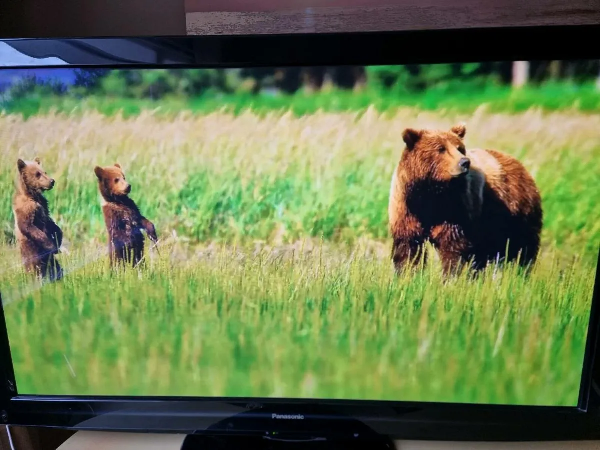 Panasonoc 50inch Smart TV - Image 1