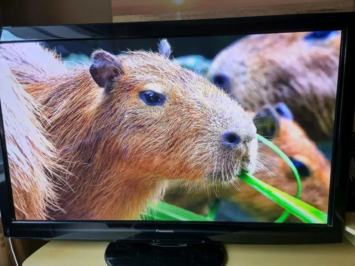 Panasonoc 50inch Smart TV - Image 4