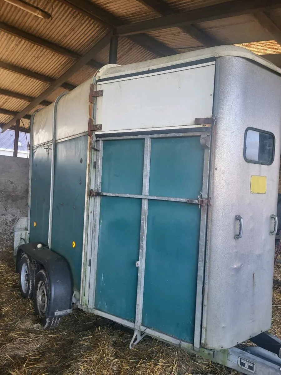 IVOR WILLIAMS HUNTER 2HORSE BOX - Image 2