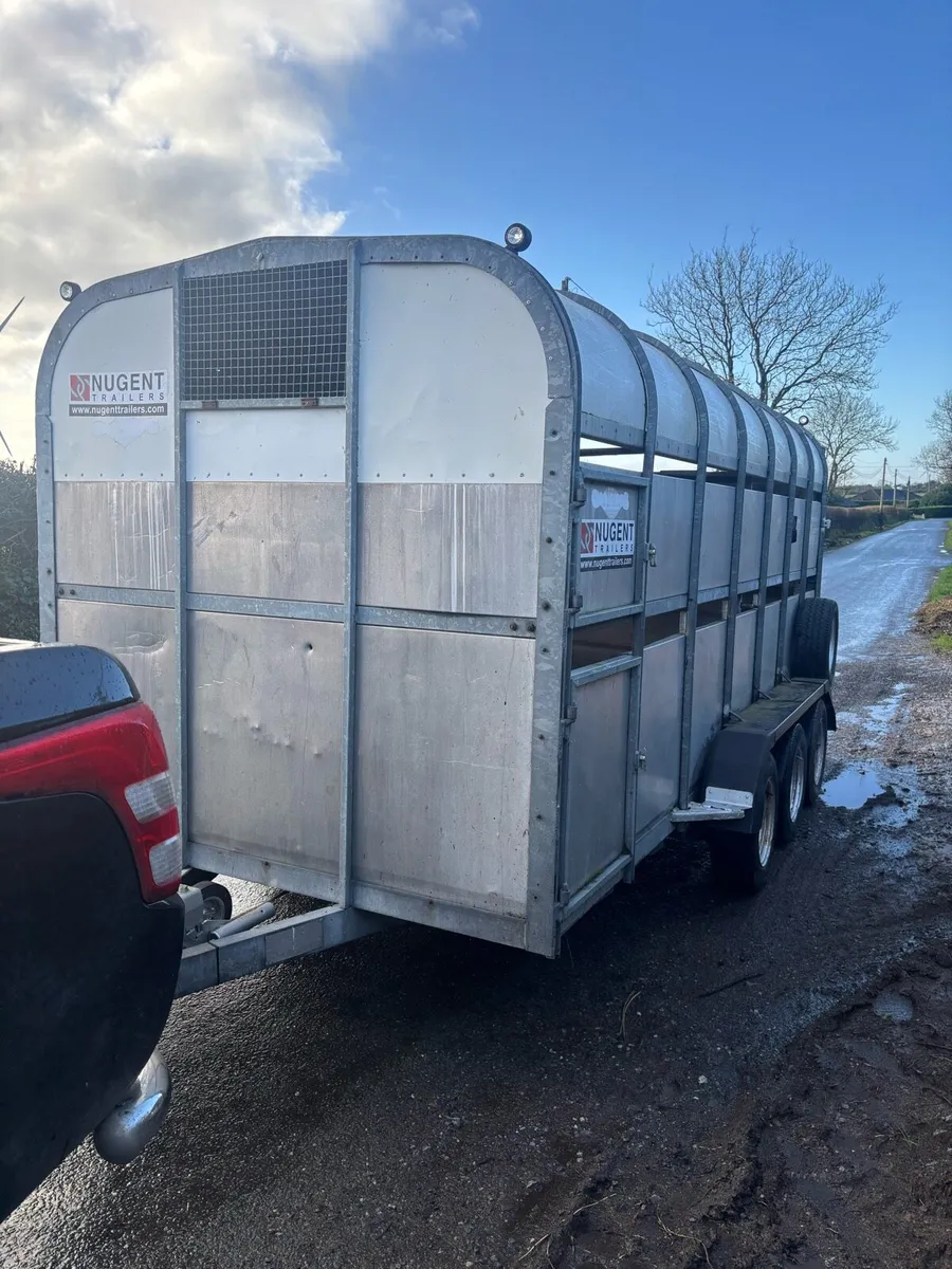 Nugent  14 x 6 - Image 1