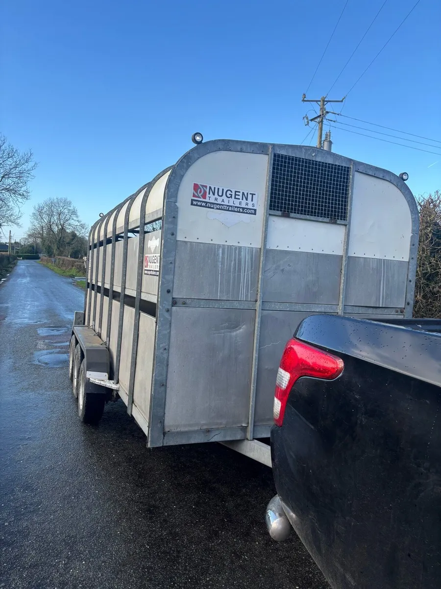 Nugent  14 x 6 - Image 2