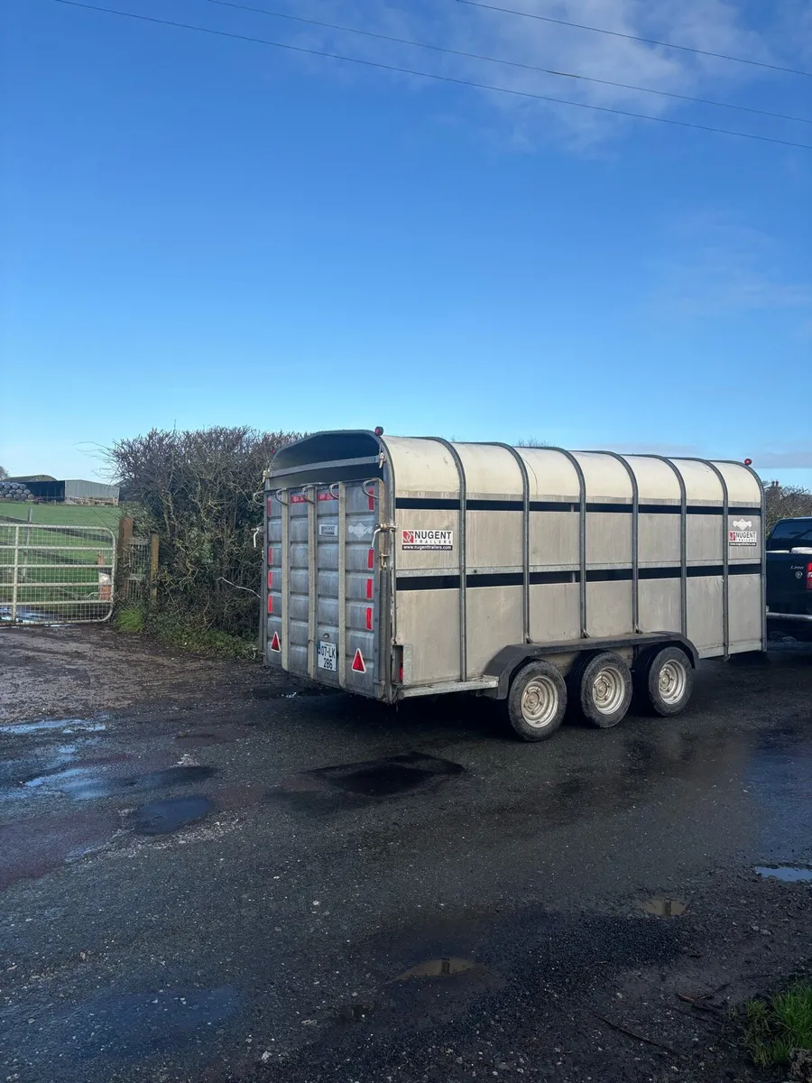 Nugent  14 x 6 - Image 3