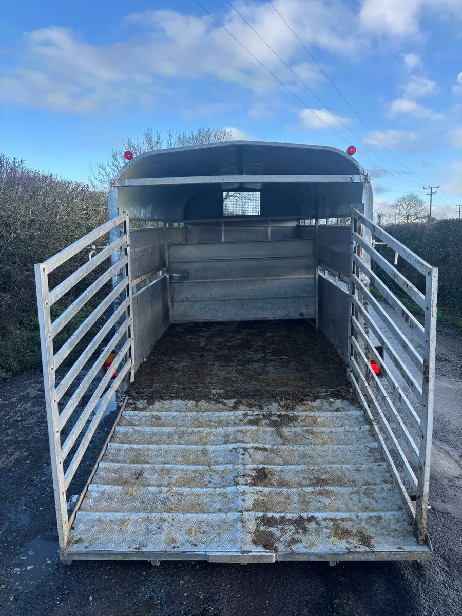 Nugent  14 x 6 - Image 4