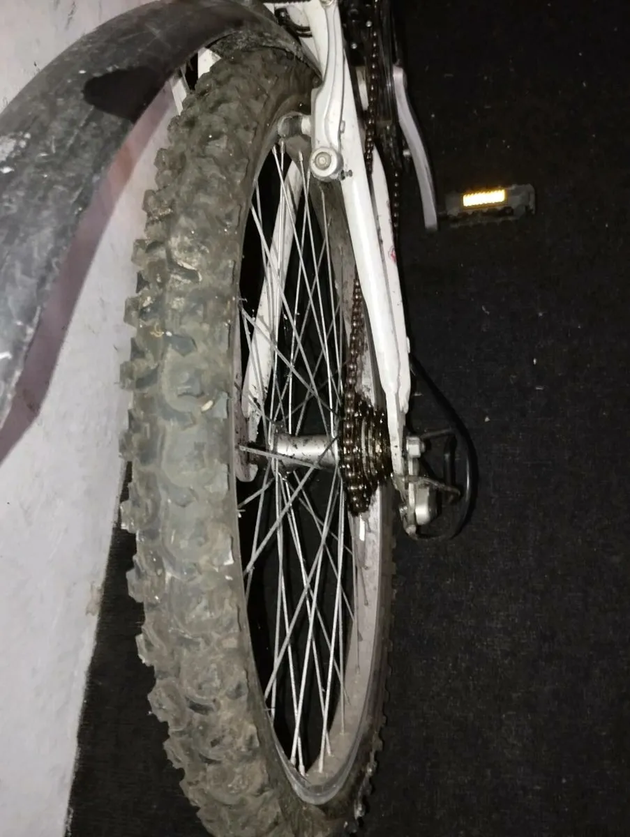 Girls 24inch bike - Image 4