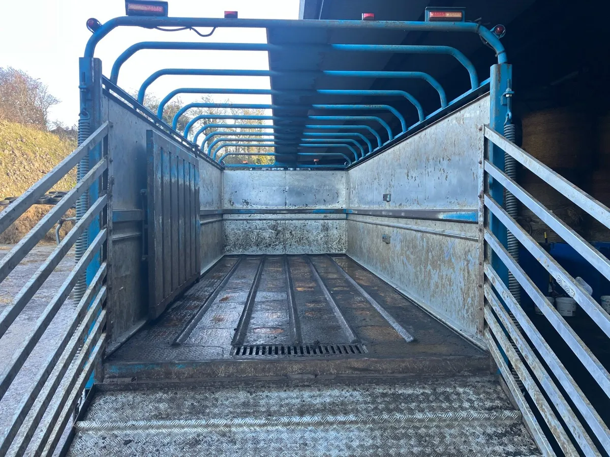 Dooley Cattle trailer - Image 3