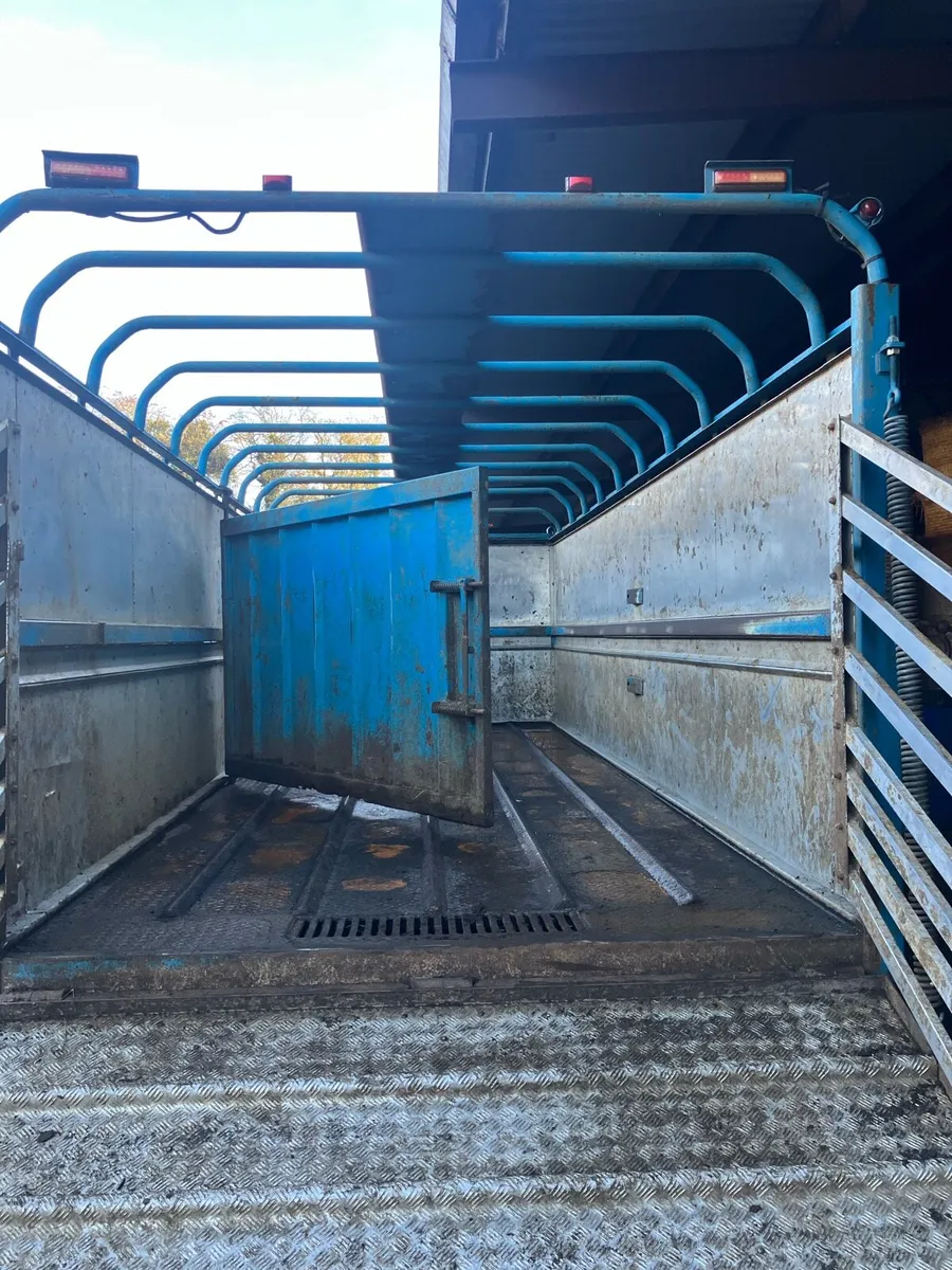 Dooley Cattle trailer - Image 4