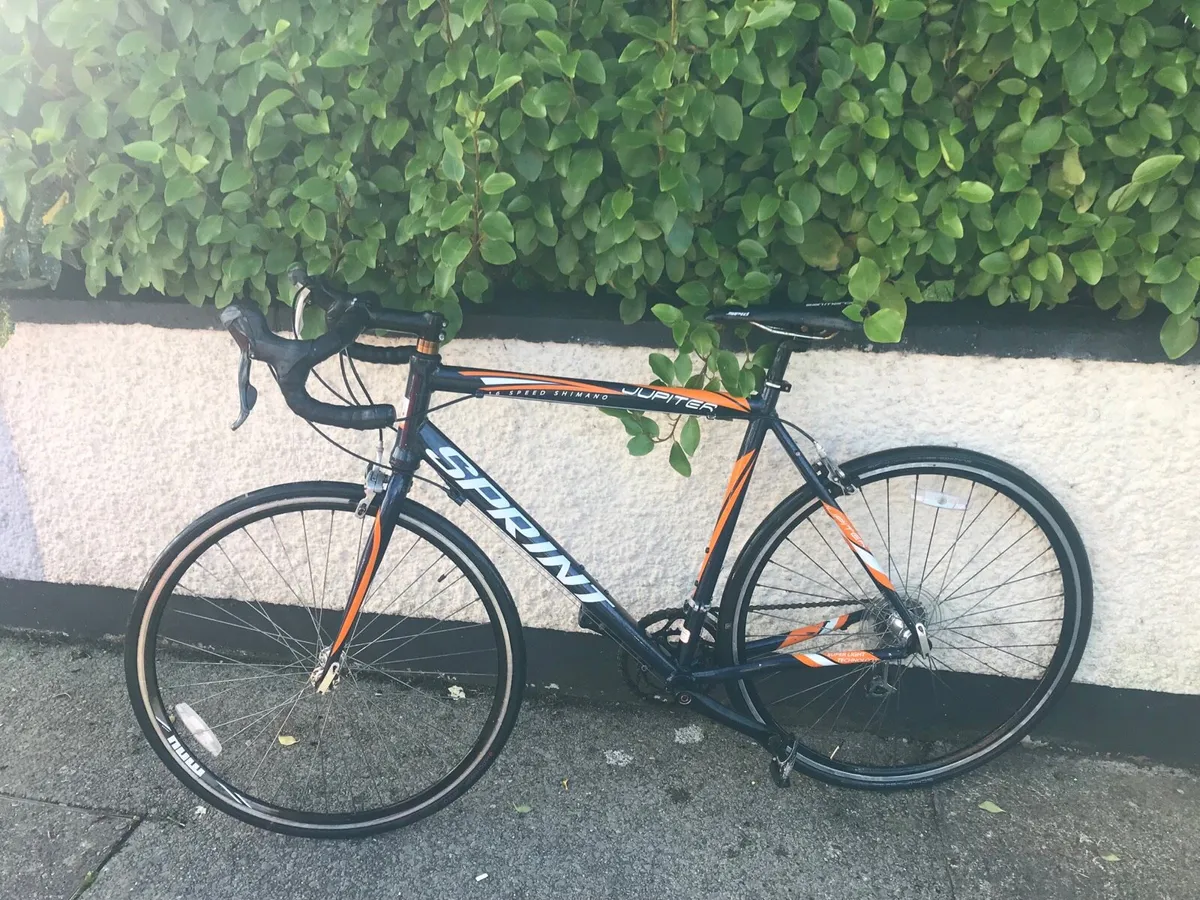 Racer for sale - Image 3