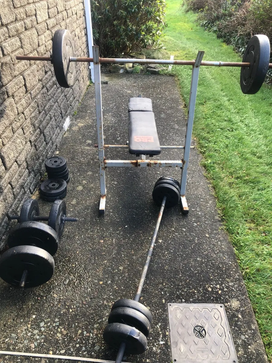 Bench and weights - Image 1