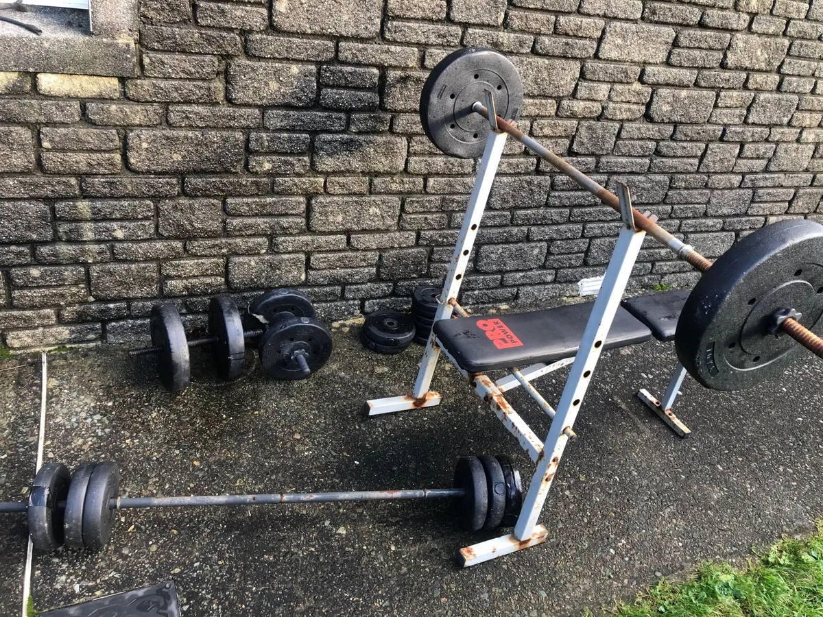 Bench and weights - Image 2