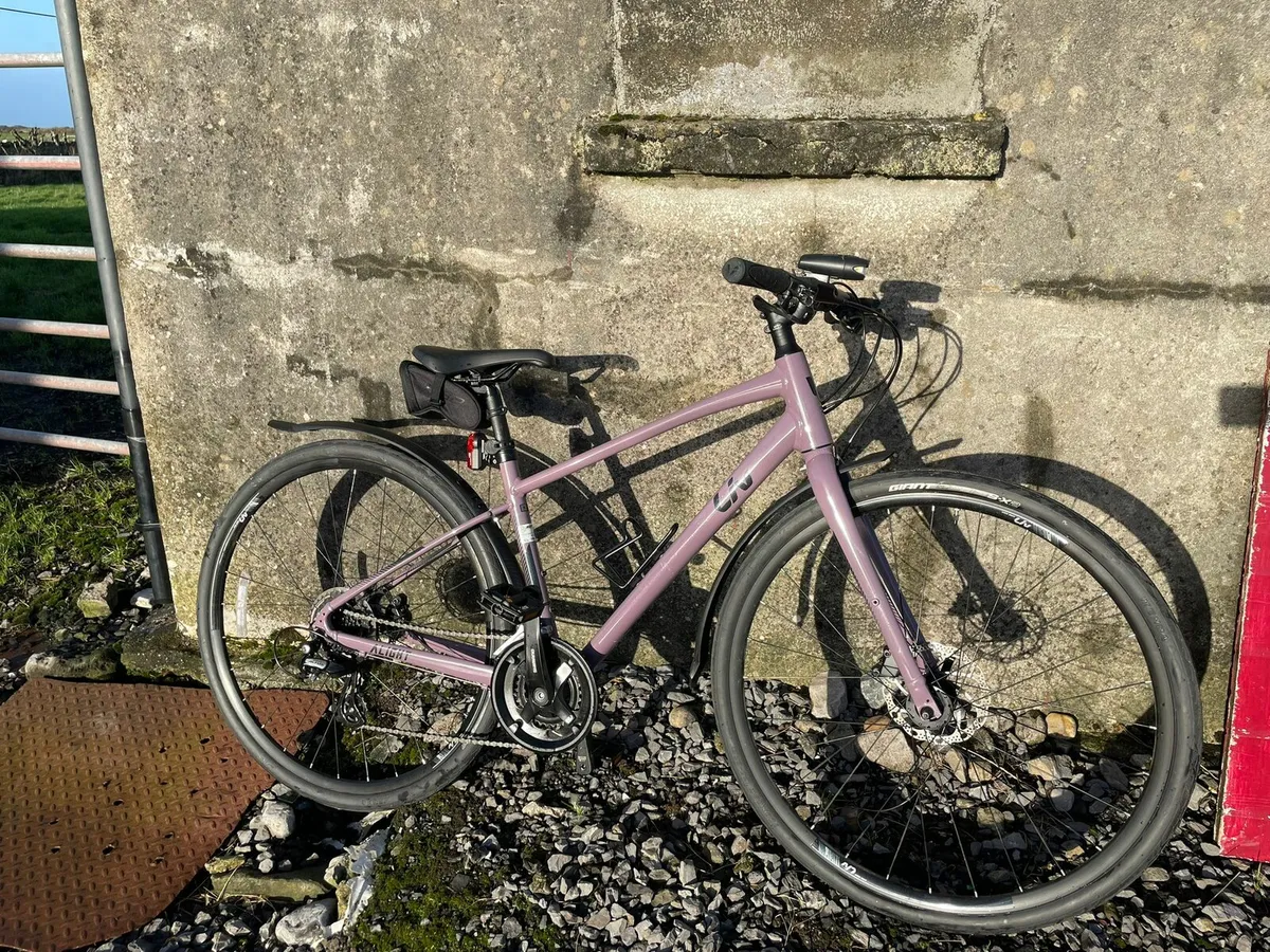 Liv Alight Bikr - Image 1