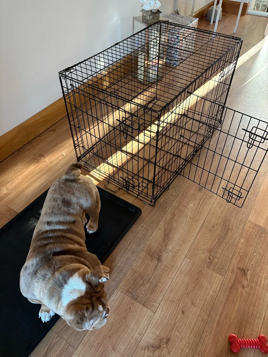 Dog crate - Image 2