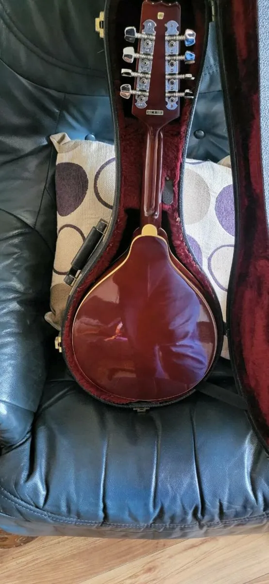 Mandolin plus case - Image 2