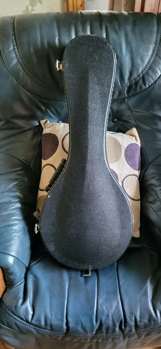 Mandolin plus case - Image 3