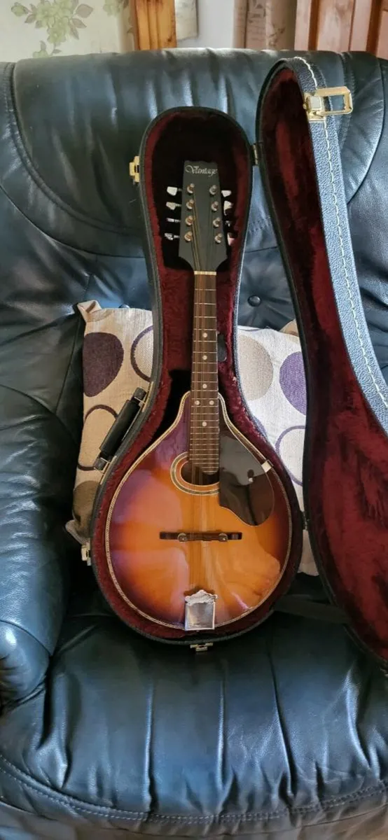 Mandolin plus case - Image 1