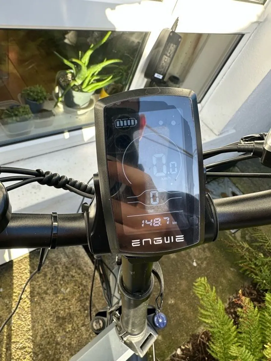 Electric Bike EP2 Pro (Upgraded Version) International Version 750W - Image 3