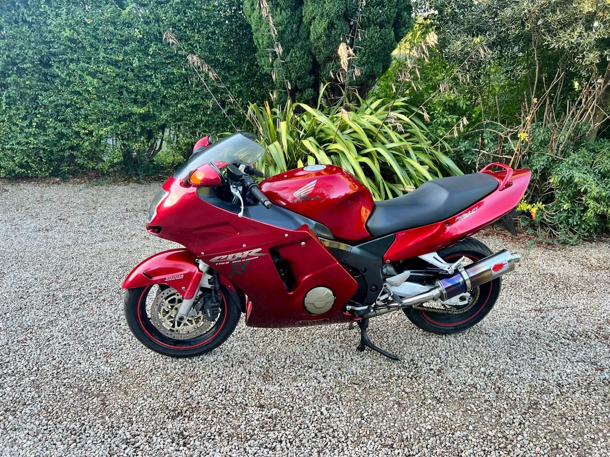 Cbr1000xx Blackbird - Image 1