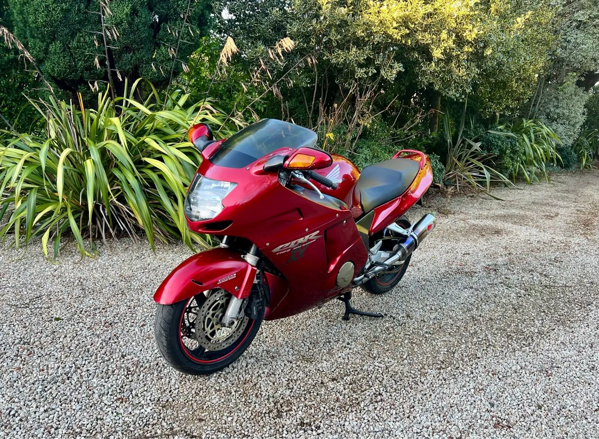 Cbr1000xx Blackbird - Image 2