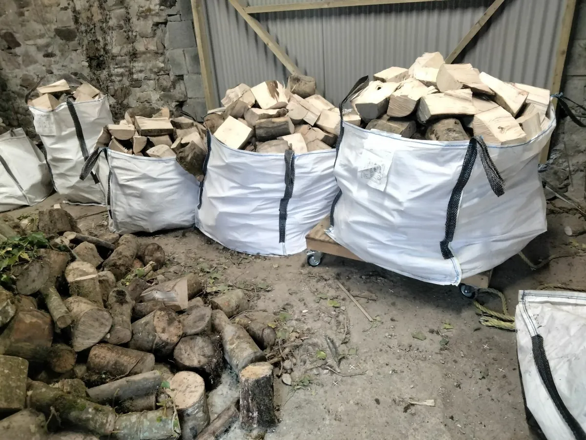 Seasoned and dried Ash firewood. - Image 1