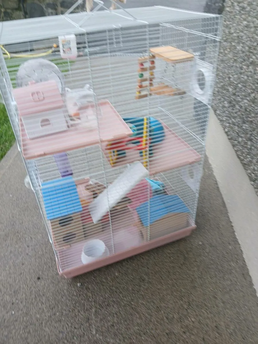 Hamster cage with accessories  and food - Image 1