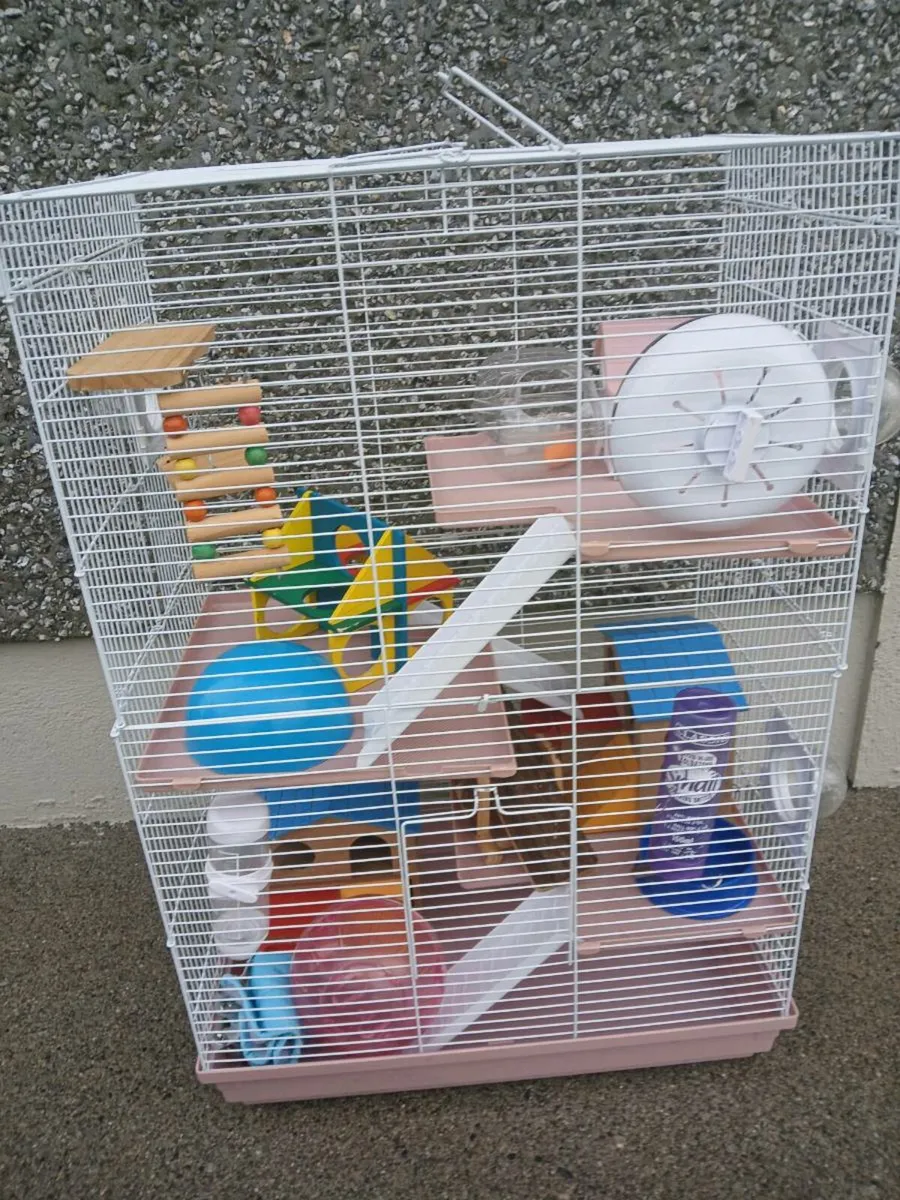Hamster cage with accessories  and food - Image 4