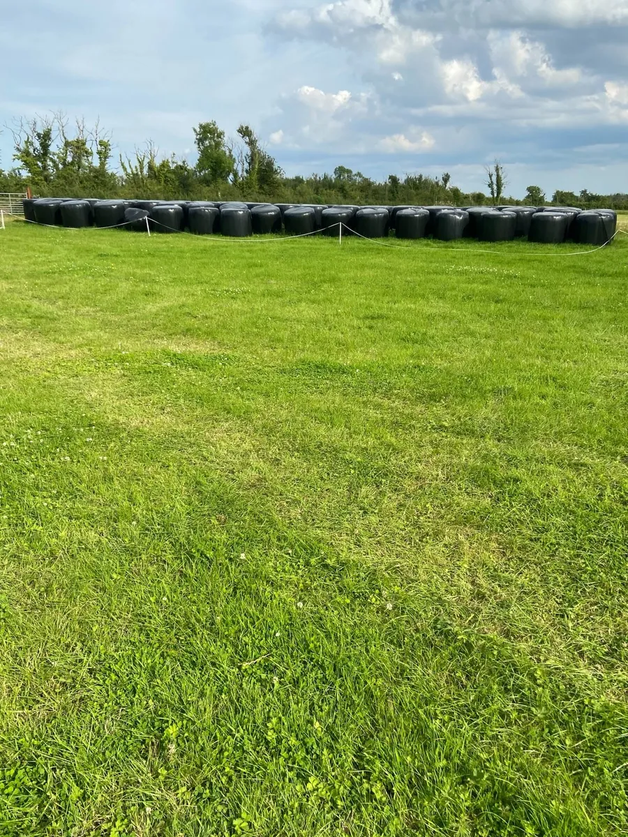 Top Quality Bales of Silage off Reseeded Land - Image 1