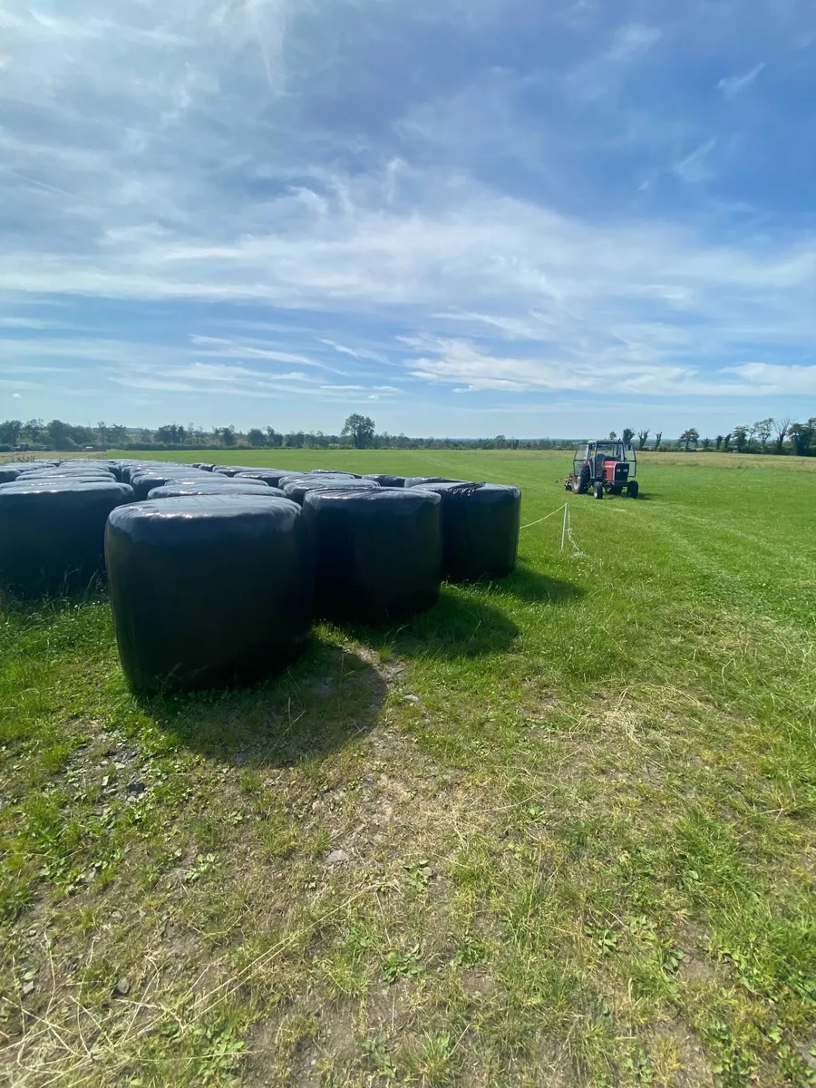Top Quality Bales of Silage off Reseeded Land - Image 2