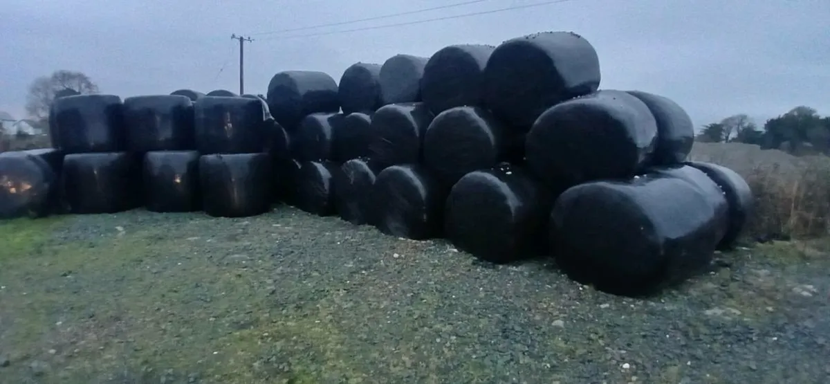 Silage and haylage for sale - Image 1