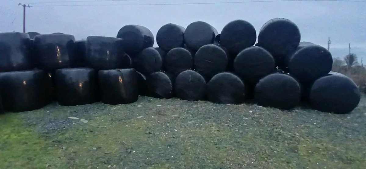 Silage and haylage for sale - Image 2