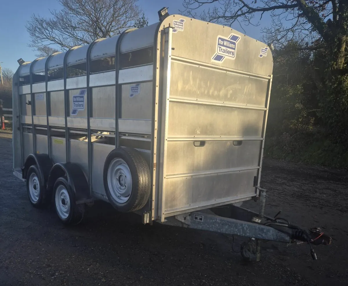 Ifor Williams 12 x 6 cattle trailer - Image 1