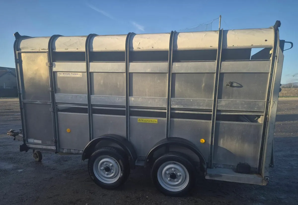 Ifor Williams 12 x 6 cattle trailer - Image 4