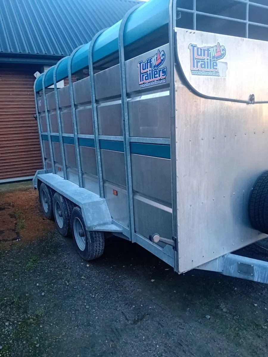 12×6 tri axle tuffmac cattle box trailer - Image 1