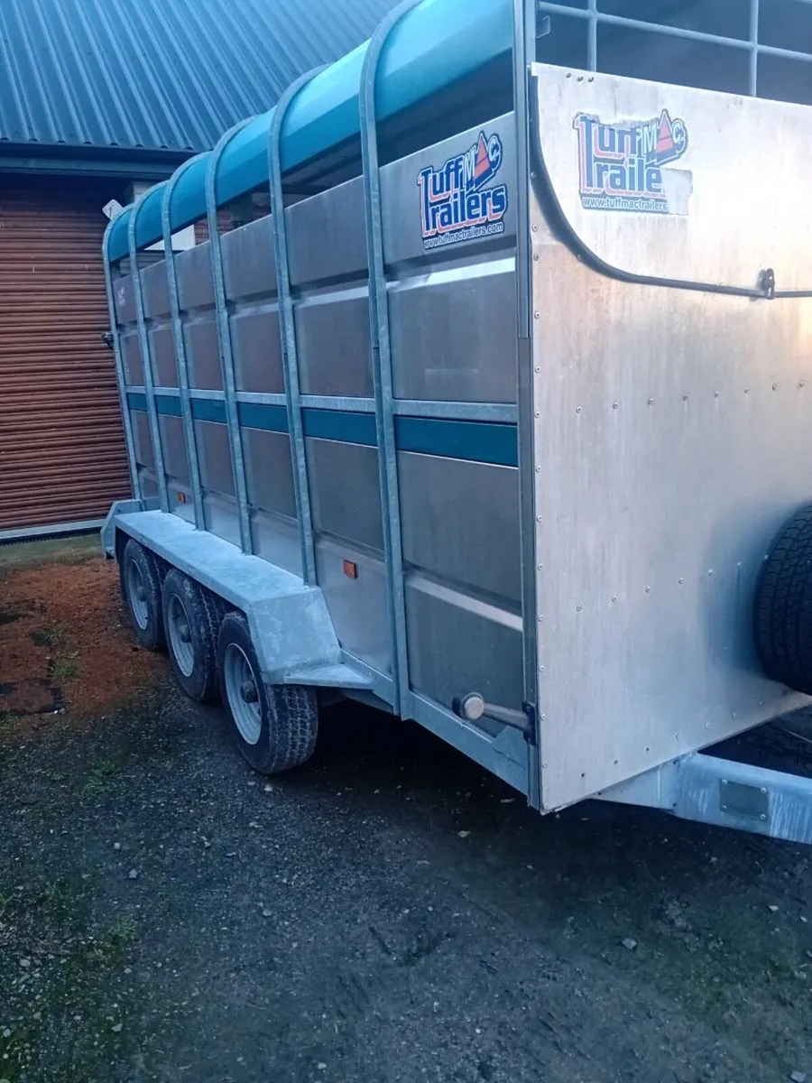 12×6 tri axle tuffmac cattle box trailer - Image 2