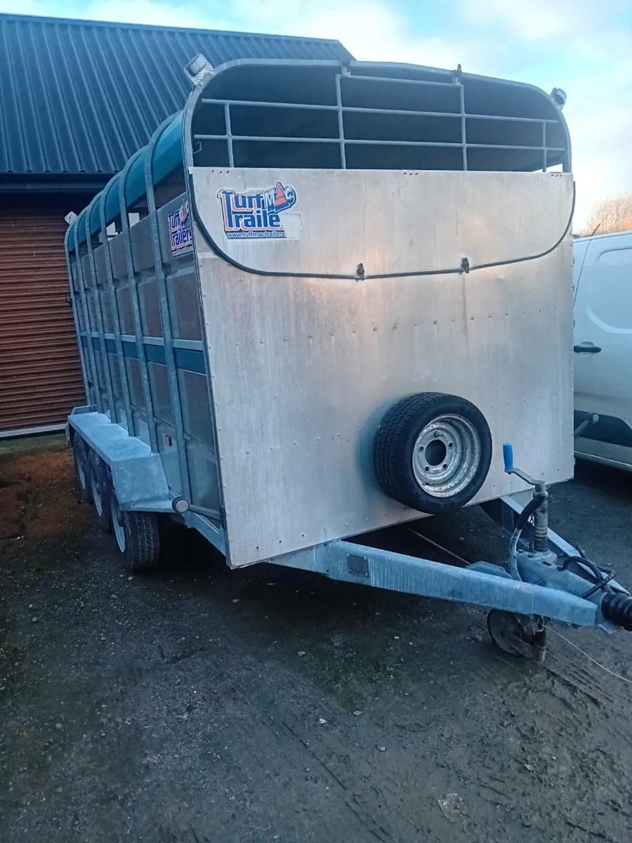 12×6 tri axle tuffmac cattle box trailer - Image 3