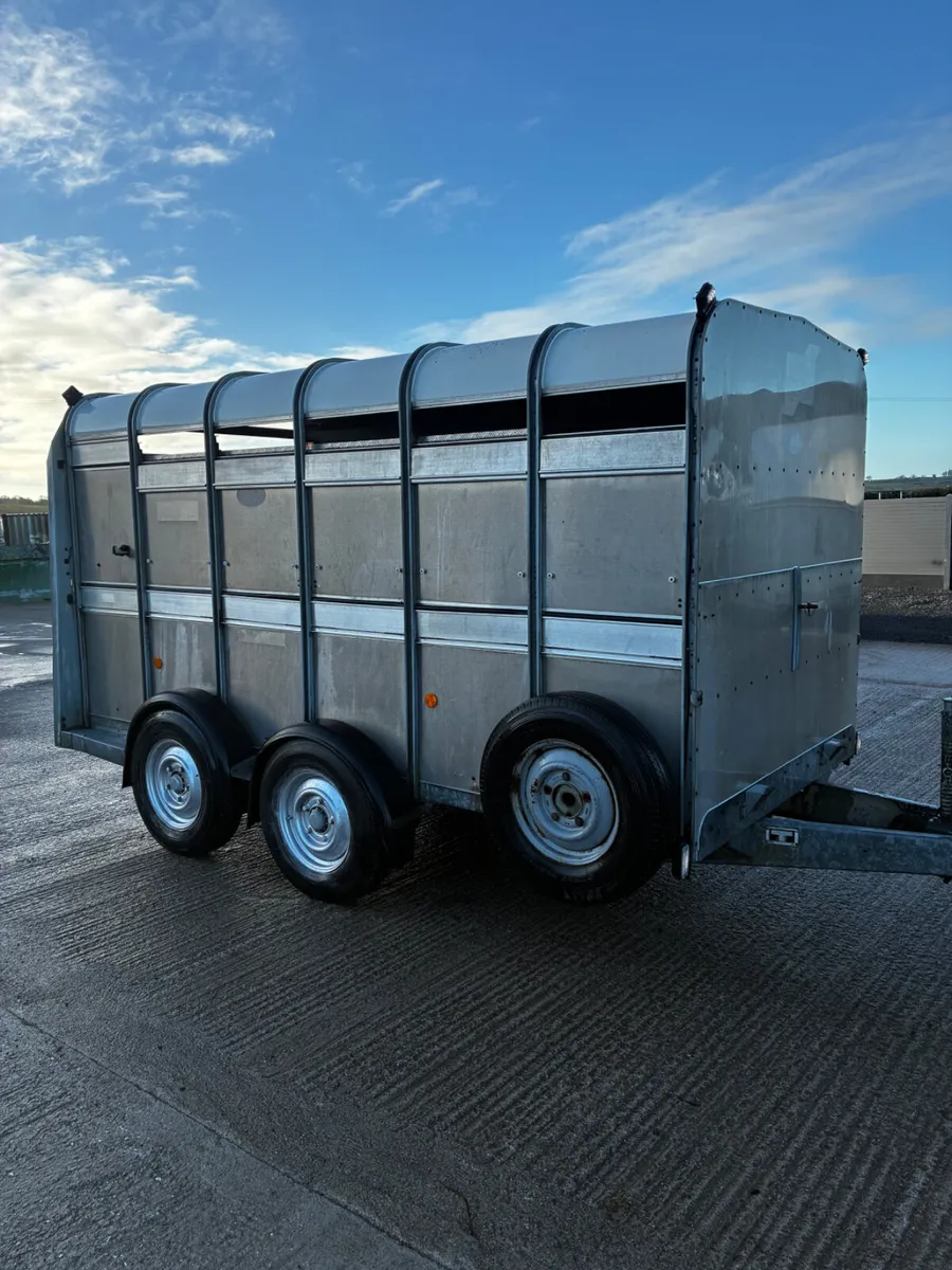 12ft Ifor Williams livestock trailer with decks - Image 1