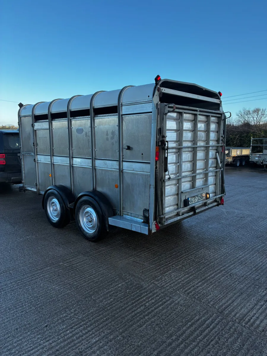 12ft Ifor Williams livestock trailer with decks - Image 3